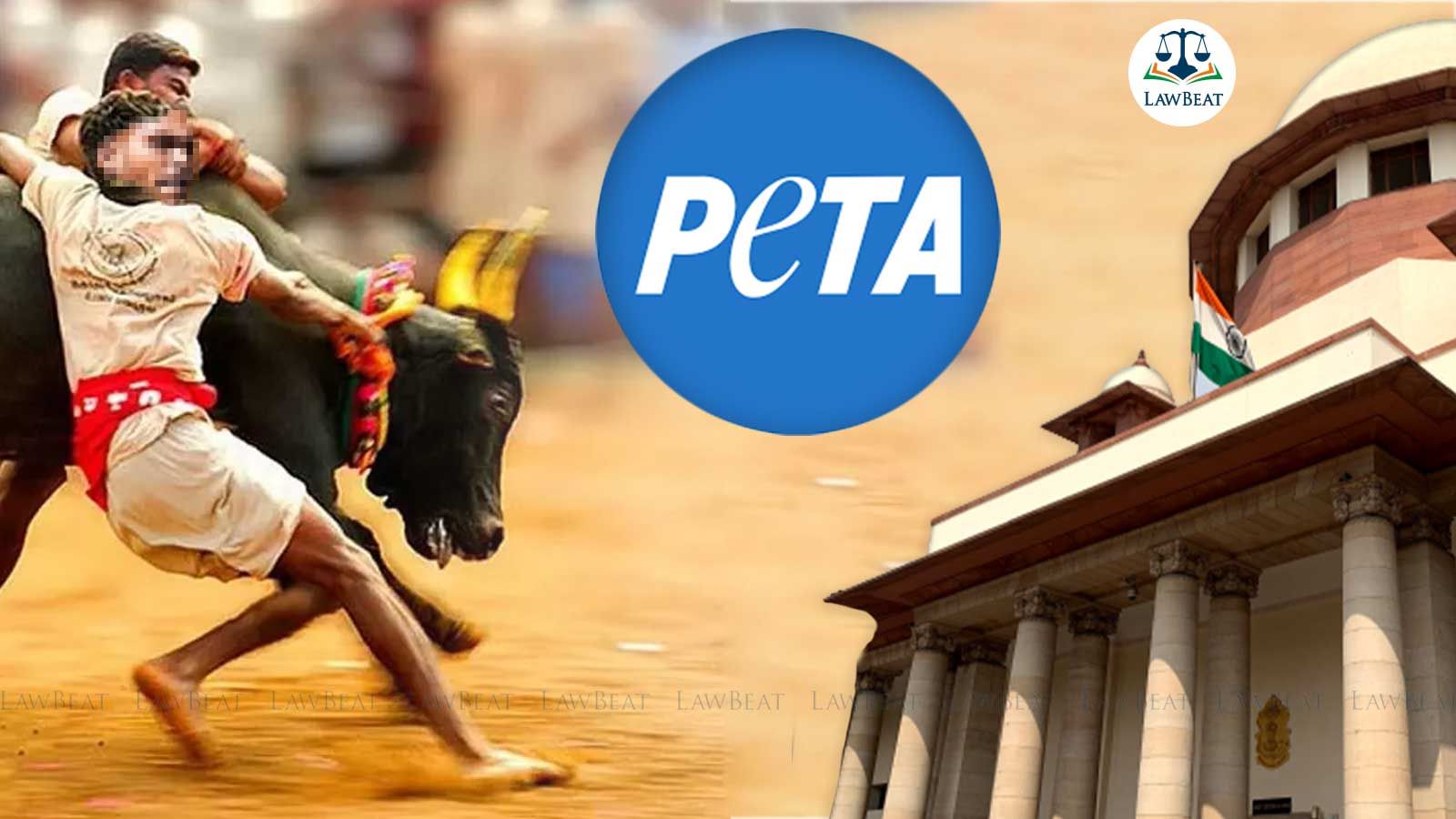 A retrograde step which contradicts animal welfare jurisprudence: PETA approaches Supreme Court seeking review of Jalikattu judgment A retrograde step which contradicts animal welfare jurisprudence: PETA approaches Supreme Court seeking review of Jalikattu judgment